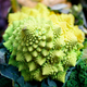 Illustration for article titled Kale, Cauliflower, And Collards All Belong To The Same Species